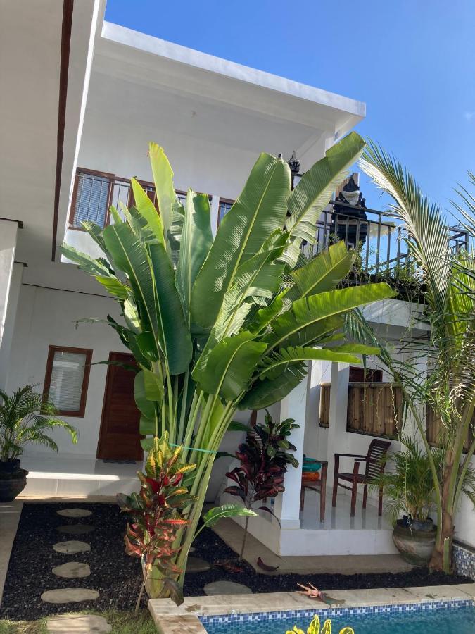 Villa Iris Homestay ウルワツ エクステリア 写真